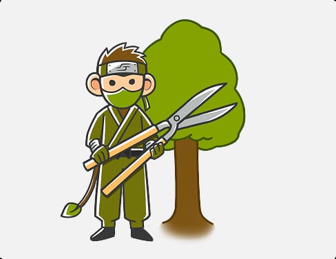 中木の伐採